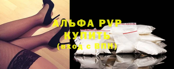 PSILOCYBIN Богородицк