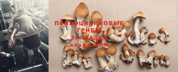 альфа пвп Верея