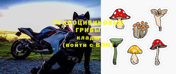 дмт Верхний Тагил