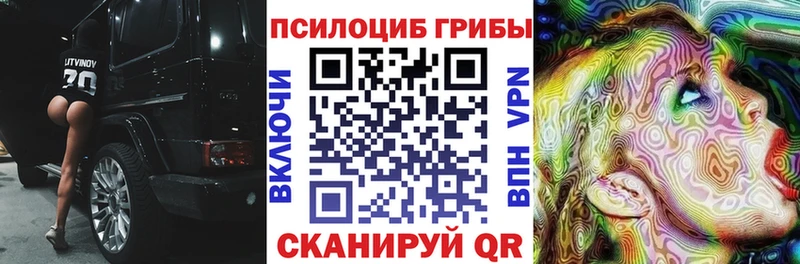 Псилоцибиновые грибы Psilocybe  Купить  Дагестанские Огни 